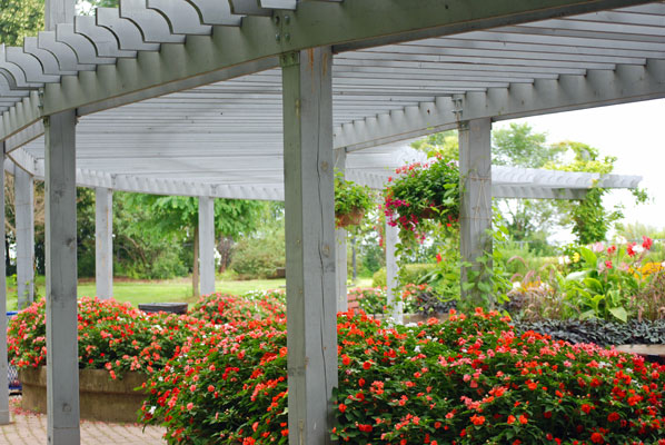 lush plantings under the curved pergola