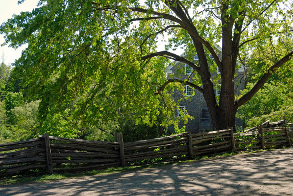 the mill seen through trees