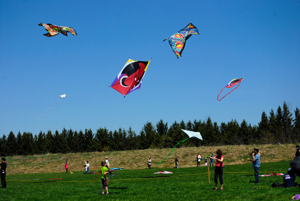 several kites flying in a clear blue sky