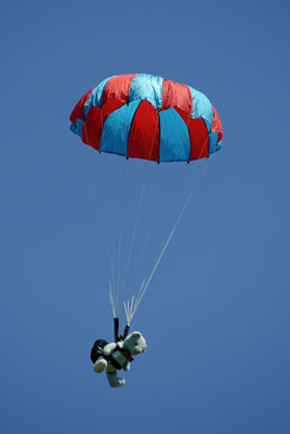 a teddy bear wearing a parachute drops from a kite at the Kortright Centre’s kite festival