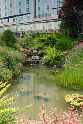 the Japanese garden area of Oakes Garden Theatre in Niagara Falls, Ontario