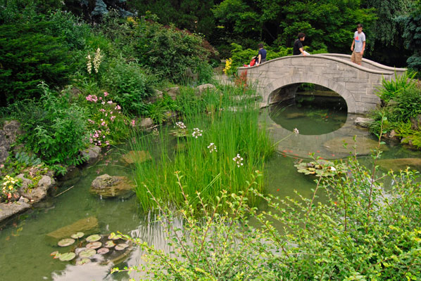 a stone bridge crosses the pond in the Japanese garden