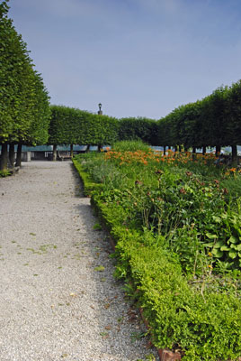 garden beds bordered by formal rows of pruned trees